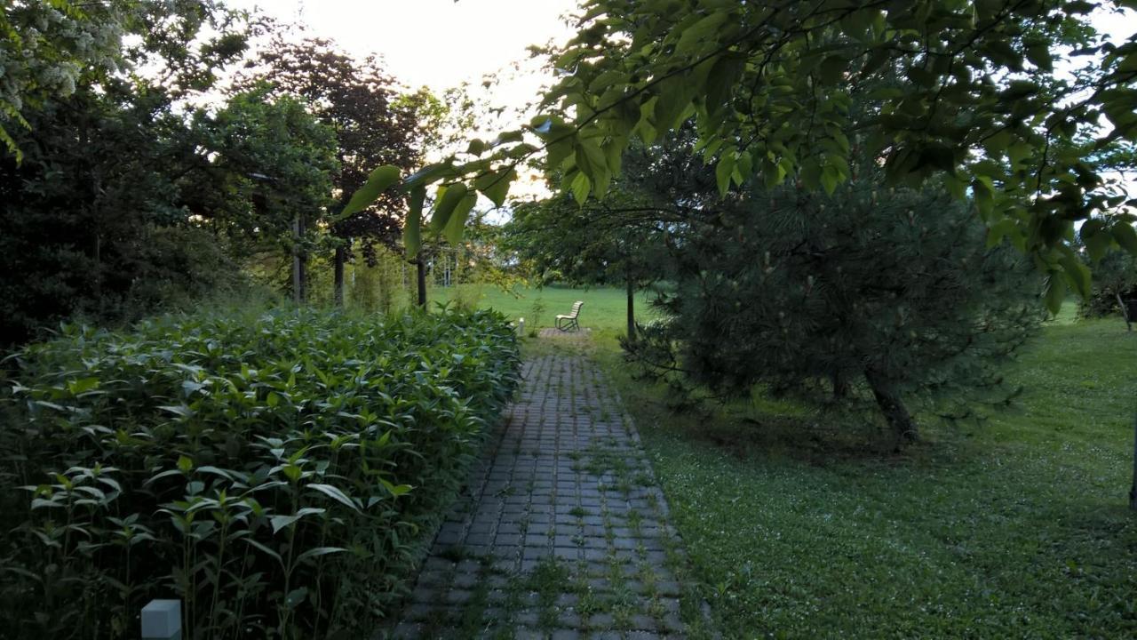Rose Canine B&B チェゼナーティコ エクステリア 写真