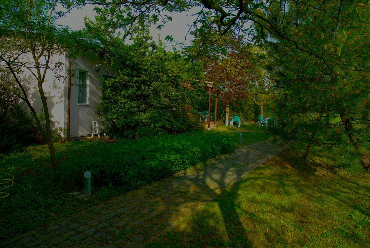 Rose Canine B&B チェゼナーティコ エクステリア 写真