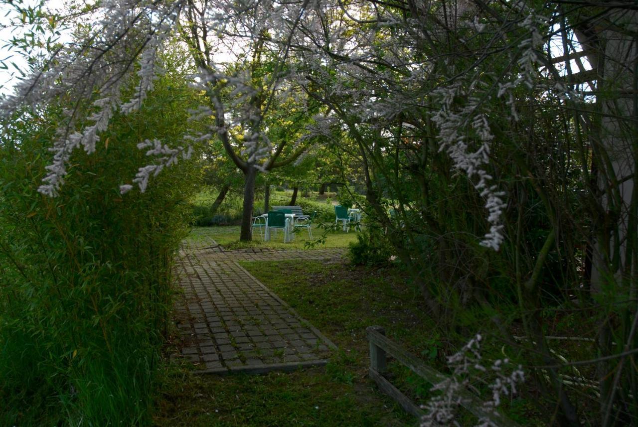 Rose Canine B&B チェゼナーティコ エクステリア 写真